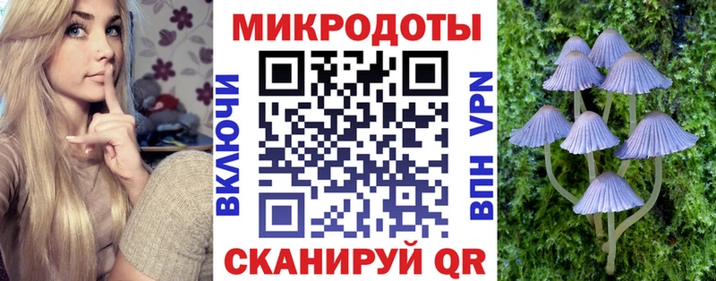 Псилоцибиновые грибы прущие грибы  как найти наркотики  Кола 